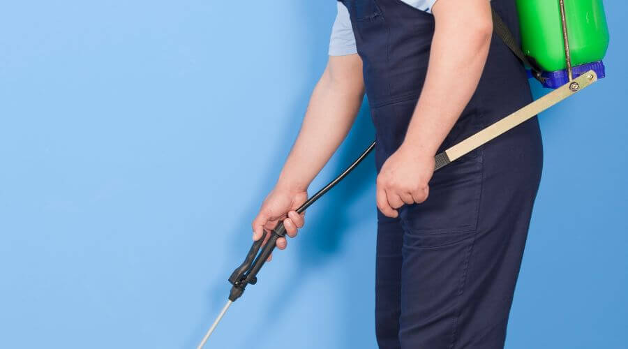 Why choose Brandon Rat Removal for rat exterminator in 1809 W Brandon Blvd